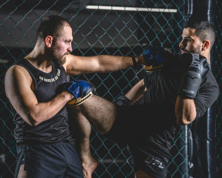 two men are fighting in a caged area